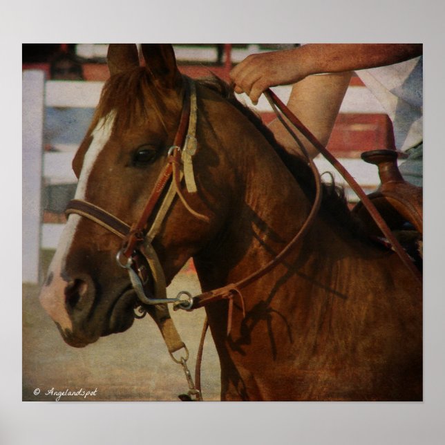 Poster Barrel Race Horse (Frente)