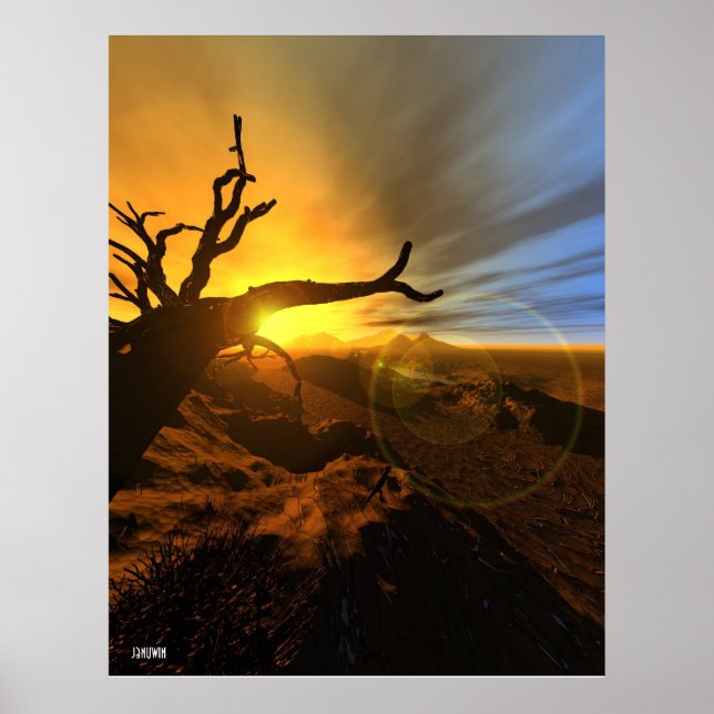 Poster Barren Land (Frente)