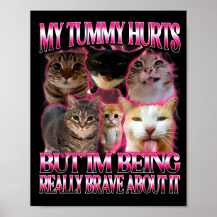 Poster Barriga dói meme de gatos burros e doentios