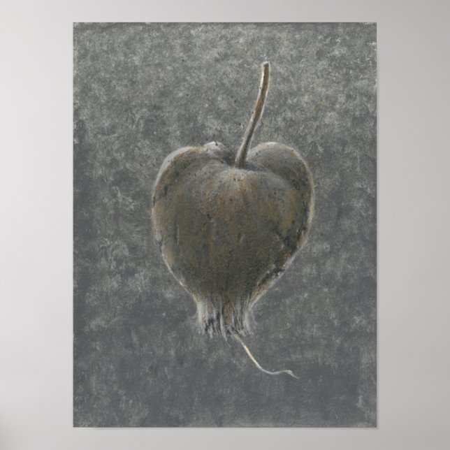 Poster Barringtonia Acutangula  2 (Frente)