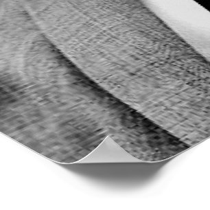 Poster Barry Goldwater- de "estilo 64 campanhas