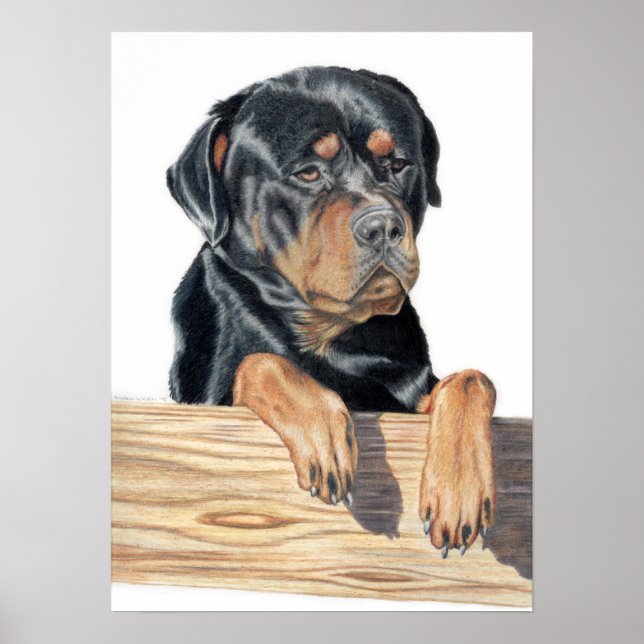 Poster Bart (Frente)