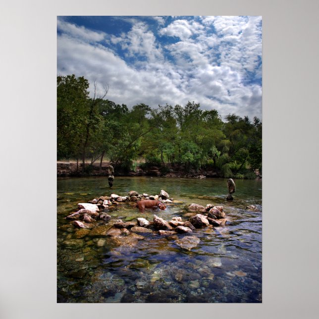 Pôster Barton Creek Dog Swimming Hole - Austin Texas (Frente)