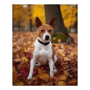 Pôster Basenji no outono deixa cair inspiração
