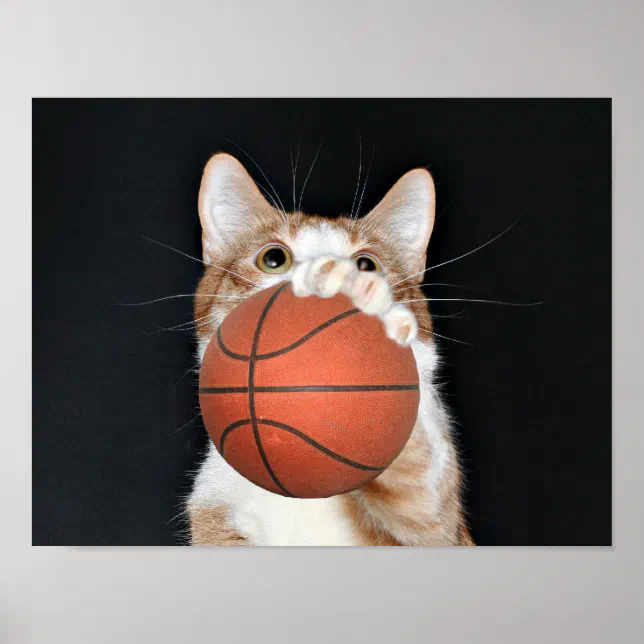 Gato feliz jogando basquete