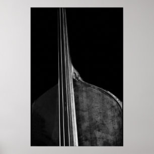 Poster Bass 5 Wapcna