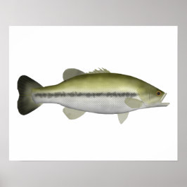 Poster Bass de Boca Largemouth