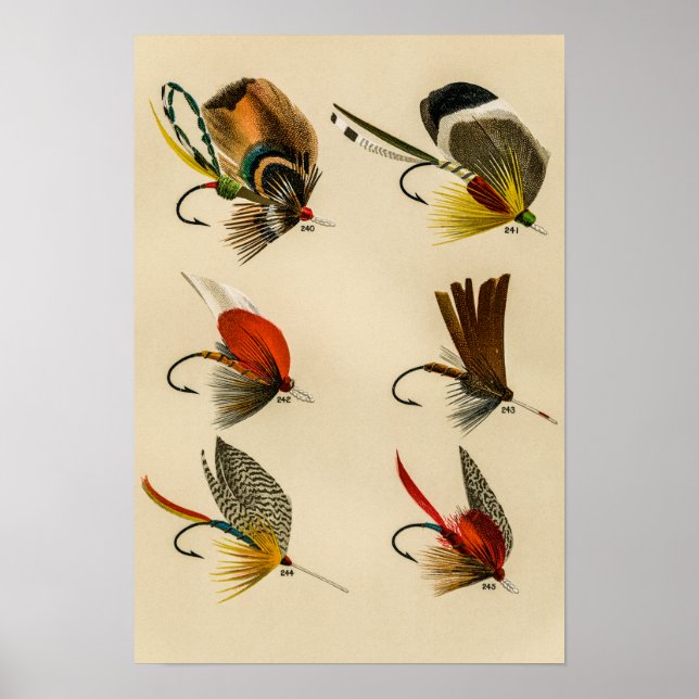 Poster Bass Flies 240 to 245 Vintage (Frente)