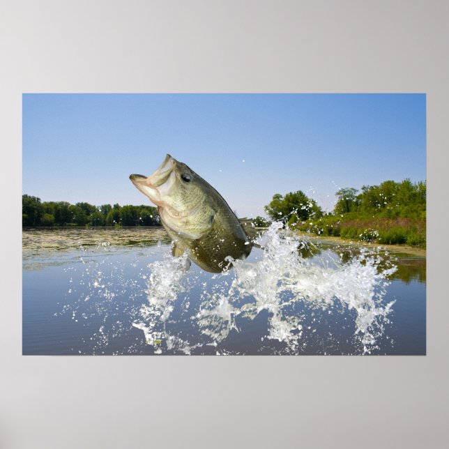 Pôster Bass Jump 2013 (Frente)