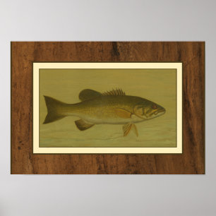 Poster Bass Preto em um Fundo Verde