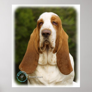 Pôster Basset Hound 9L9D-22_2