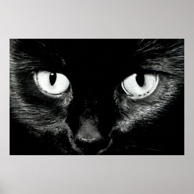 Pôster Bastão (Frente)