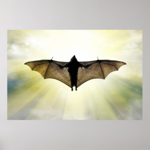 Poster bastão