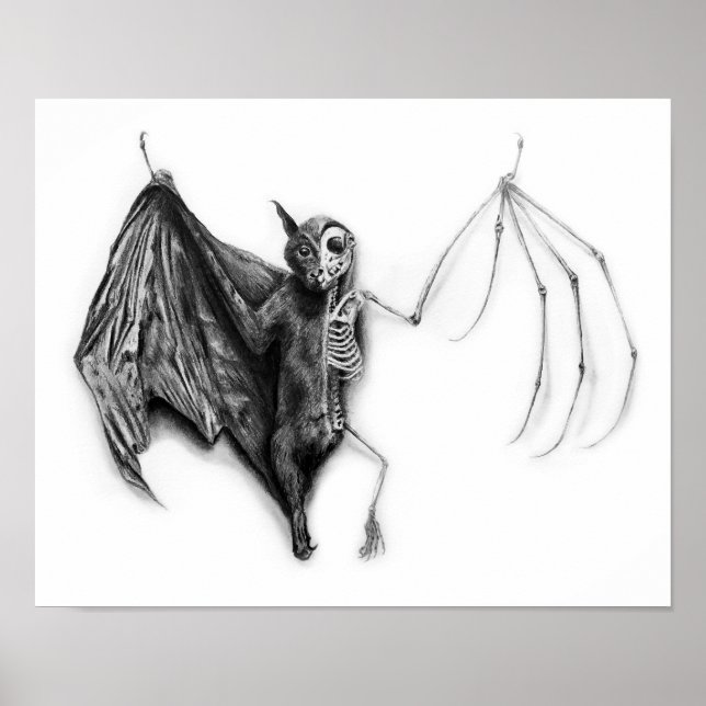 Poster Bat Specimen (Frente)