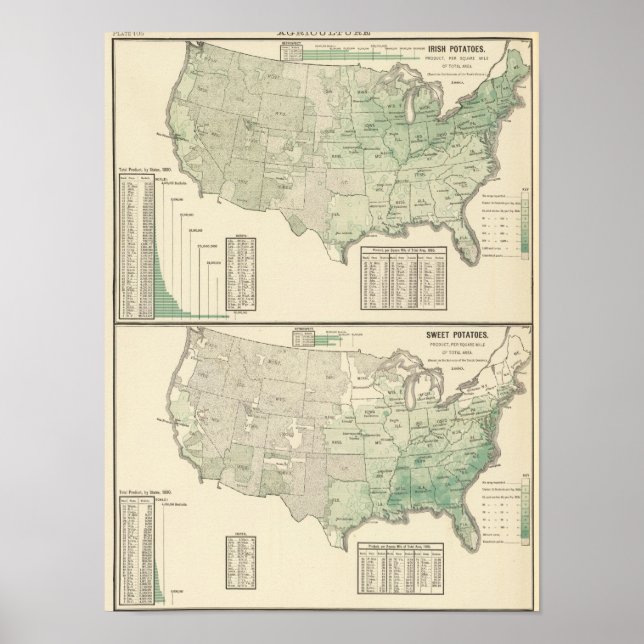 Pôster Batatas irlandesas e doces e feno (Frente)