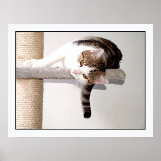 Pôster batente (Frente)