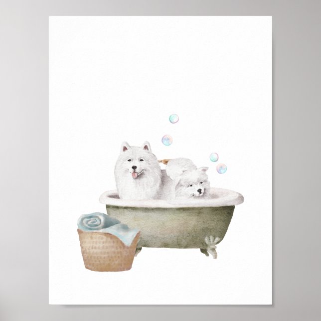 Poster Bathroom Wall Art, Cães Samoyed num banho vintado (Frente)