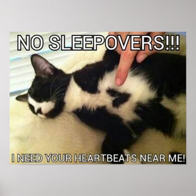 Poster batimentos cardíacos (Frente)