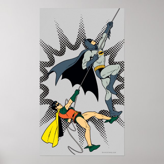 Poster Batman E Robin Climb (Frente)