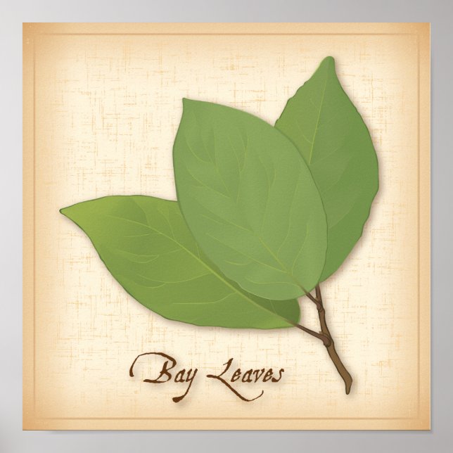 Pôster Bay Leaves (Frente)