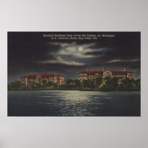 Pôster Bay Pines, Flórida - Vista lunática do Hospital