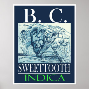 PÔSTER BC DOCE INDICA