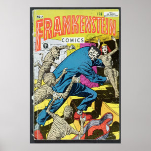Pôster BD dos EUA - Frankenstein