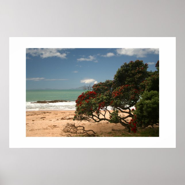 Poster Beach Bliss - Árvore Pohutukawa (Frente)