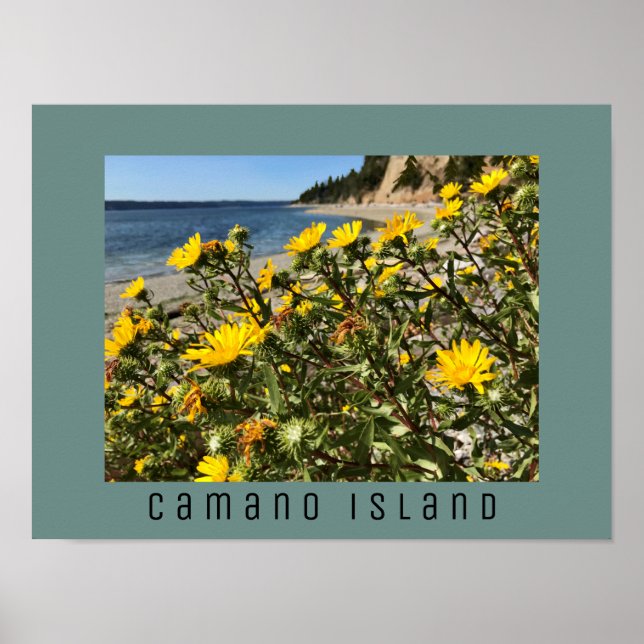 Poster Beach Camano Island Washington Fotografia (Frente)