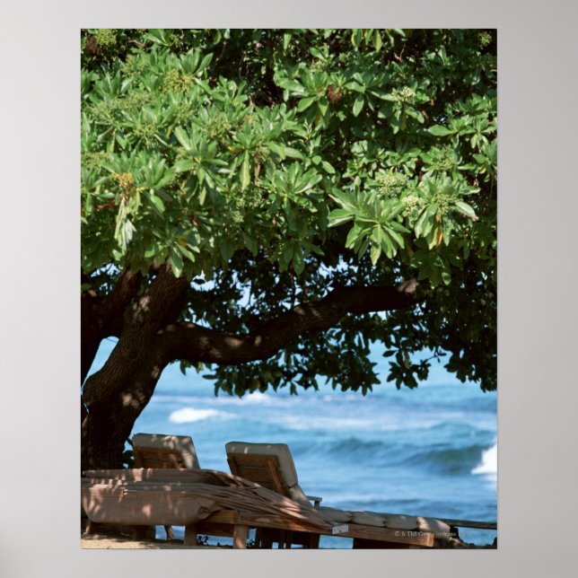 Poster Beach Chair 2 (Frente)