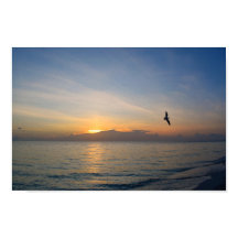 Beach Ocean Sunset Photo 195