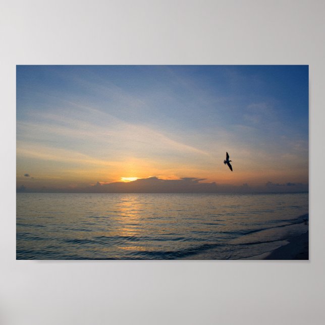 Poster Beach Ocean Sunset Photo 195 (Frente)