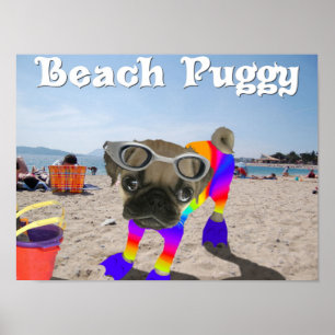 Pôster Beach Puggy