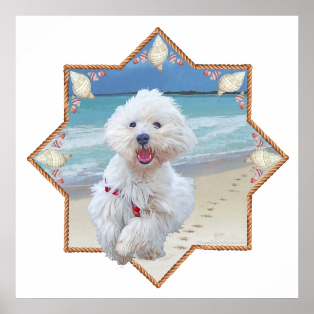 Pôster Beach Run (Frente)