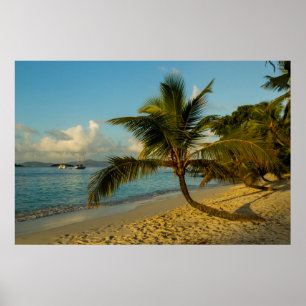 Pôster Beach scenic
