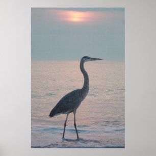 Poster Beachcombing Heron