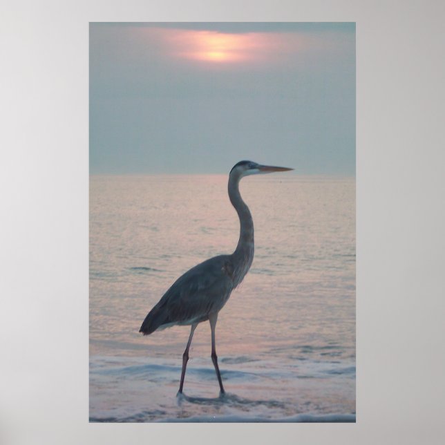 Poster Beachcombing Heron (Frente)