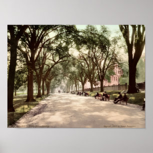 Poster Beacon Street Mall Boston c1899 Inspirado no Vinta