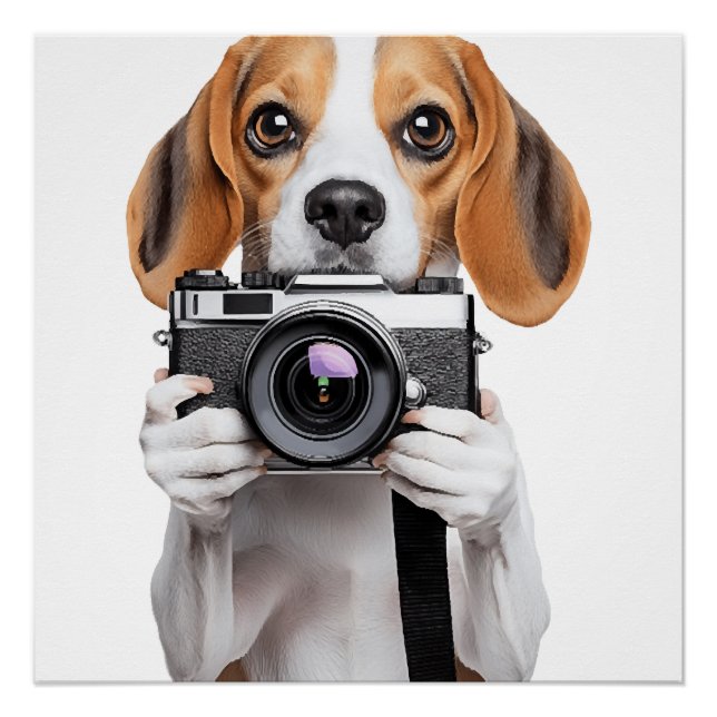 Pôster Beagle (Frente)