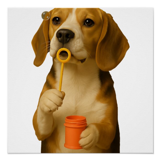 Pôster Beagle           (Frente)