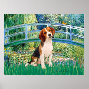 Pôster Beagle1 - Ponte do Lago de Lírios