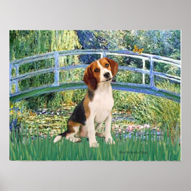 Pôster Beagle1 - Ponte do Lago de Lírios (Frente)