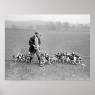 Pôster Beagle Club, 1914