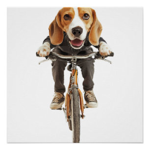 Pôster Beagle Cópia Cópia Cópia