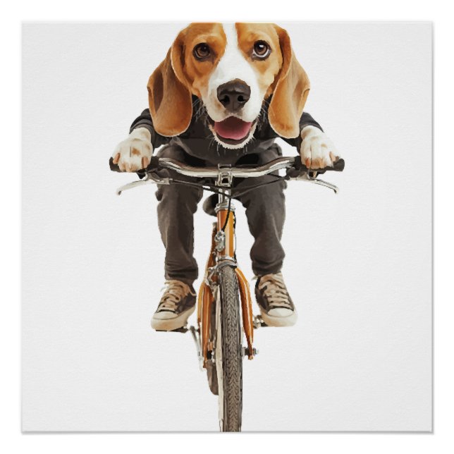 Pôster Beagle Cópia Cópia Cópia (Frente)