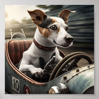 Poster Beagle dirigindo carro da Corrida