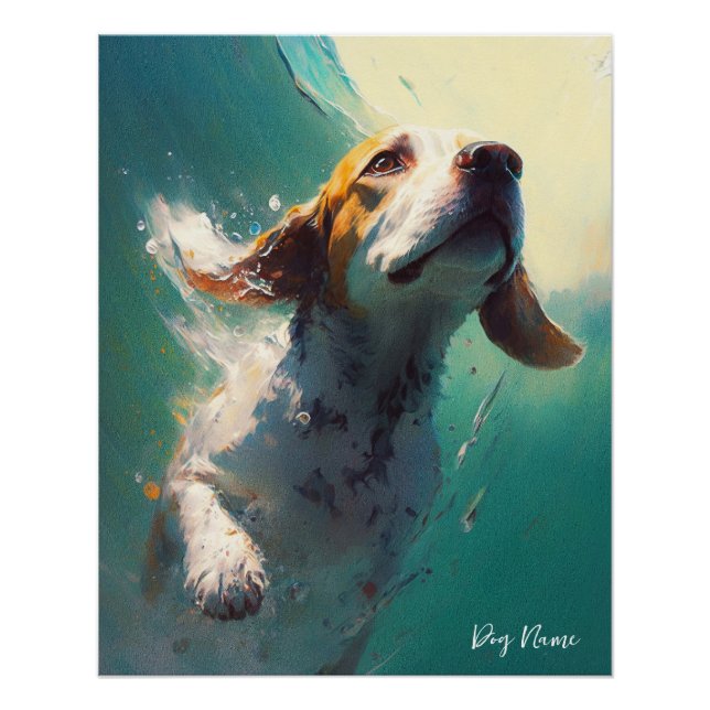 Pôster Beagle dog swimming in water 005 (Frente)