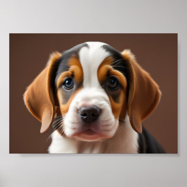 Poster Beagle Puppy (Frente)
