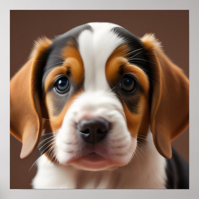 Poster Beagle Puppy (Frente)