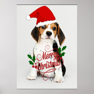 Poster Beagle Puppy Papais noeis